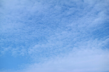 Cielo