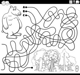 maze with cartoon bear character and forest coloring book page
