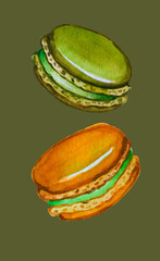 Green and orange macaron hand drawn watercolor