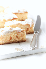 Simple yeast cake on bright background. Close up. 