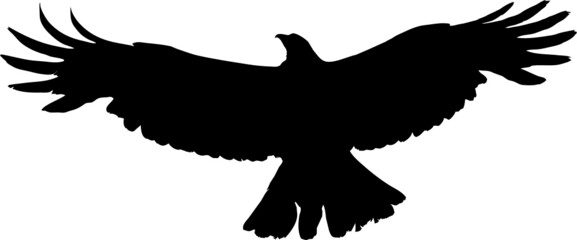 Aigle volant noir sur fond transparent 