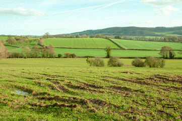 Springtime landscape in the UK.