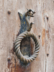 Fototapeta premium Door knocker in the shape of a dragon.