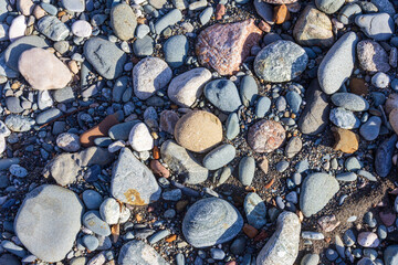 The sources of the mountain river, the journey along the riverbed, the shallow bottom and the stones warm up in the sunlight. +