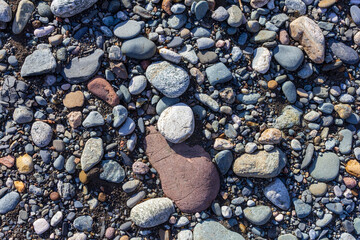 The sources of the mountain river, the journey along the riverbed, the shallow bottom and the stones warm up in the sunlight. +