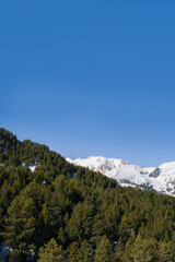 Mountain view in Andorra with forest on foreground
