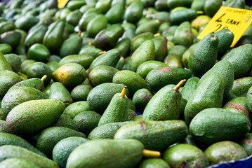 Many bright, delicious green avocados stacked on a supermarket shelf. High quality photo