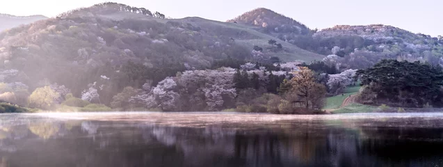 Fotobehang 4월의 호수 © 새벽