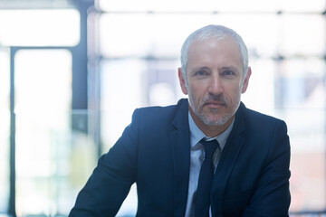 Fototapeta premium Scoring success is what I do. Portrait of a mature businessman standing in a modern office.
