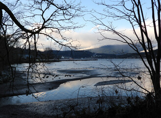 Contours of the tree branches late afternoon