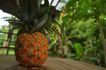 shot of fresh pineapple and leaves still attached. wooden background in outdoor garden.
