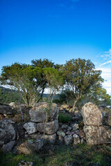 Nuraghe in mezzo al lago Omodeo, territorio di Ardauli, provincia di Oristano, Sardegna