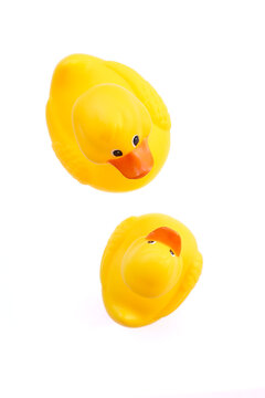 Yellow rubber duck bath toys on white background viewed above