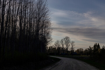 bending country dirt road, leafless trees
