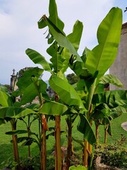 Monast&egrave;re de Savina, Herceg novi, Mont&eacute;n&eacute;gro