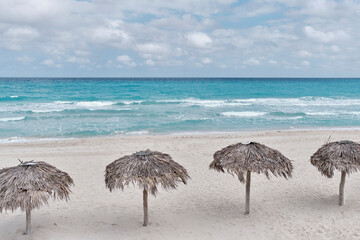Fototapeta na wymiar Atlantic sandy beach of Cuba, resort Varadero. Four palm leaf sun umbrellas.