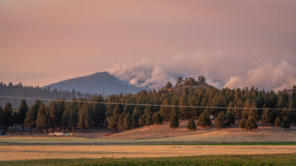 A billowing cloud of wildfire smoke rising over rural america