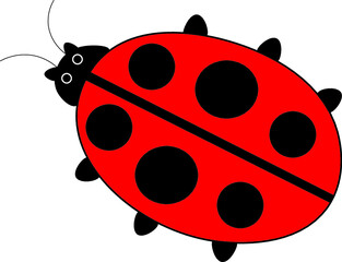 Ladybug vector illustration