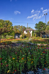 Obraz premium Quiet and beautiful town of gardens - Thunder Bay, ON, Canada