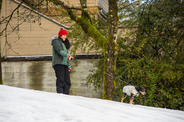 Mulher passeando na neve com seu cachorro companheiro. em Vancouver