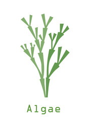Algae logo,twigs of green algae