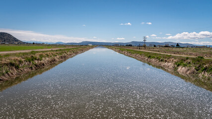 Irrigation canal with water in dry climate