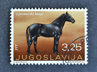 Cancelled postage stamp printed by Yugoslavia, that shows Ljutomer's Horse (Equus ferus caballus),...