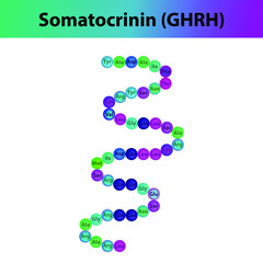 Somatocrinin GHRH hormone peptide primary structure. Biomolecule schematic amino acid sequence on white background.