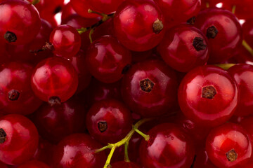 Ripe and juice red currant background. Sweet berries background.