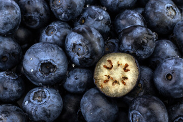 Blueberry background. Ripe berries texture background.