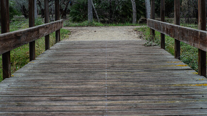 Puente en Jardín