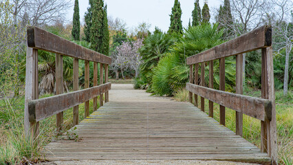 Puente en Jardín