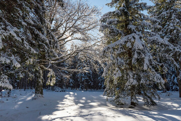 Beautiful winter panorama, Karkonosze mountains