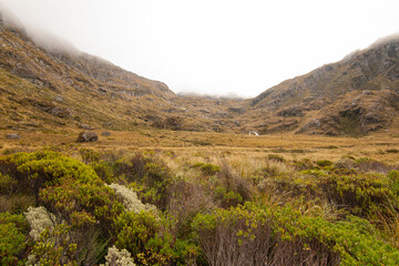 Hazy landscape with native alpine vegetation and grassland along the Routeburn Track South Island New Zealand