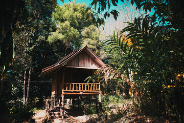 small wooden cottage in the jungle