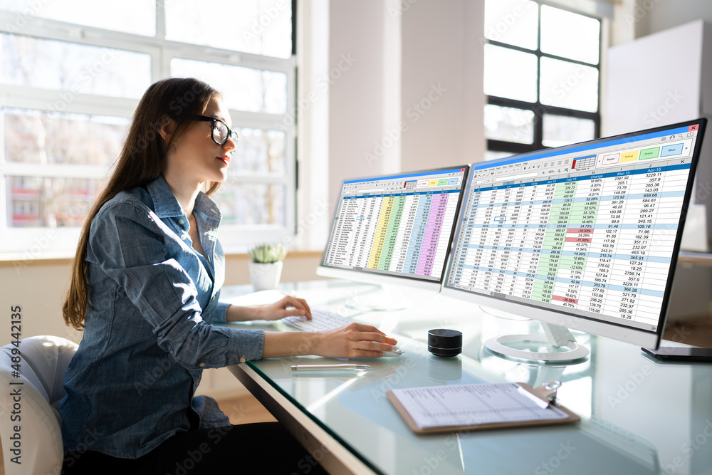 Poster analyst employee using spreadsheet