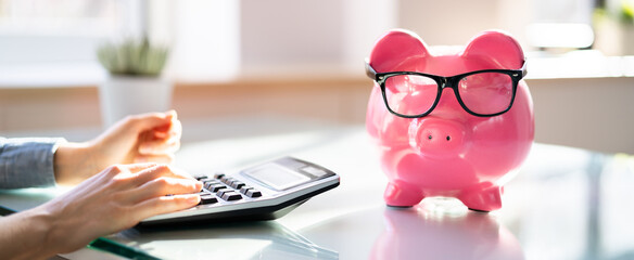 Financial Advisor With Piggybank