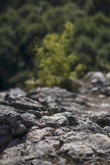 Detail of cliffs in Mallorca, Balearic Islands, Spain. Wonderful sunny days in the mountains.