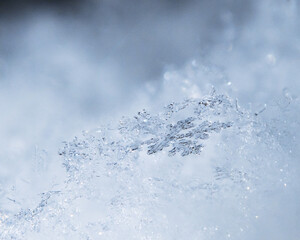 close up of Snowflake, macro