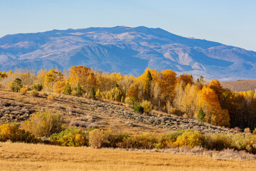 Fototapeta premium Sunny view of the fall color around Conway Summit