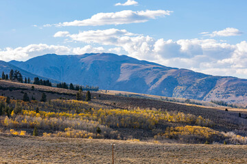 Sunny view of the fall color around Conway Summit