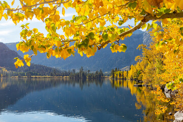 Sunny view of the fall color of Silver Lake