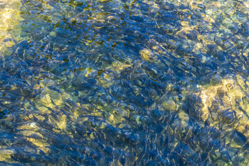 Background image of clear water with rocks below the surface in summer time. Wallpaper, calming, pristine photo. 