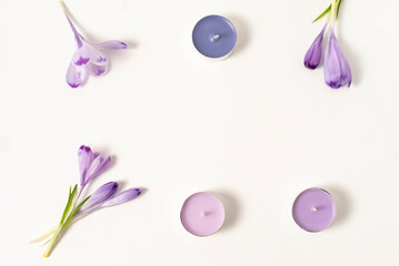 Purple crocuses and candle on white background 