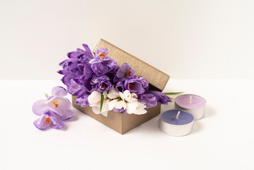 Fototapeta na wymiar bouquet of crocuses in a box