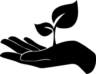 hand holding plant black, Hand with eco green leaf icon. Ecofriendly icon, nature icons set on white background