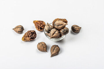 Ripe Juglans cordiformis Maxim or heart-shaped walnut isolated on white background
