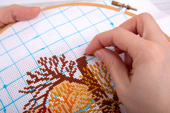 the girl on the canvas embroiders with woolen threads and a needle multicolored birds and a tree with a cros