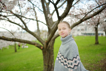 Adorable young girl in blooming cherry tree garden on beautiful spring day. Cute child picking fresh cherry tree flowers at spring.