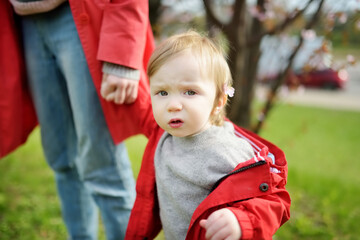 Cute toddler boy playing in blooming cherry tree garden on beautiful spring day. Adorable baby having fun outdoors.